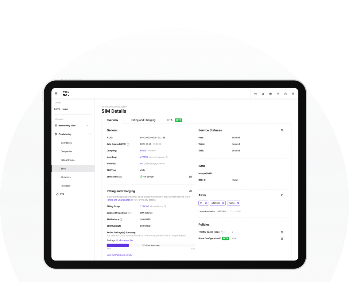 Global Cellular Connectivity Telna