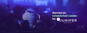 Established Leader - Header Image
