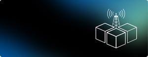 Header Image (8)