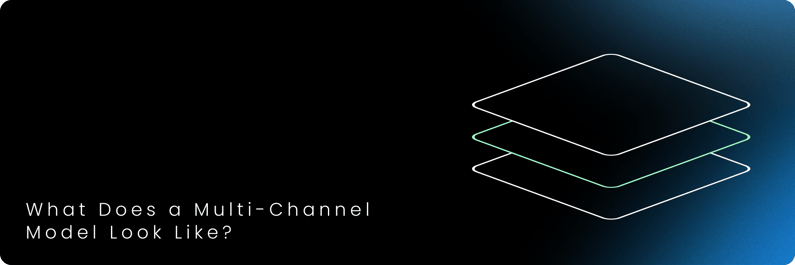 What Does a Multi-Channel Model Look Like_